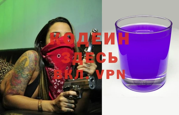 стаф Осинники
