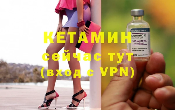 стаф Осинники