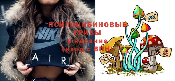 круглые Переславль-Залесский