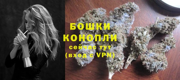 стаф Осинники