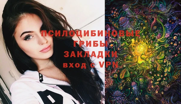 круглые Переславль-Залесский