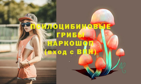 марки nbome Пересвет