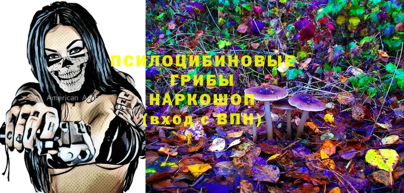 что такое   Орёл  Псилоцибиновые грибы Psilocybine cubensis 